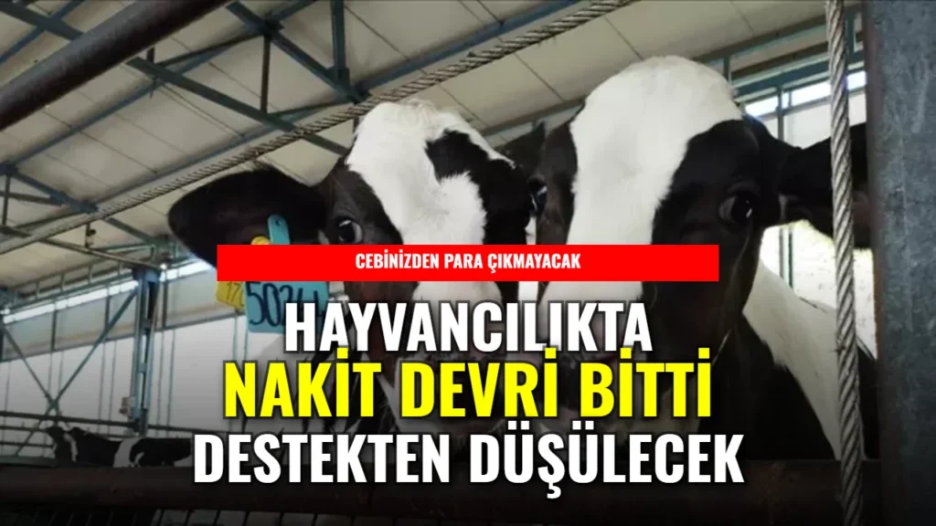 Hayvancılıkta nakit ödeme devri resmen sona erdi!