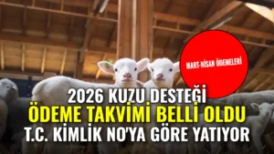 2026 Kuzu Desteği Ne Zaman Yatacak? Küçükbaş Hayvancılık Destekleme Ödemeleri Tarih Takvimi