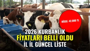 2026 Kurbanlık Fiyatları Ne Kadar? İl İl Büyükbaş ve Küçükbaş Kurban Hisse Fiyatları Listesi